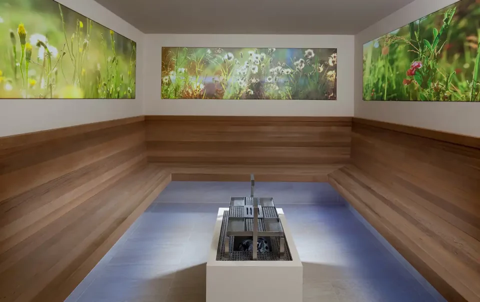 Wellness centrum | Hotel Francis Palace Františkovy Lázně