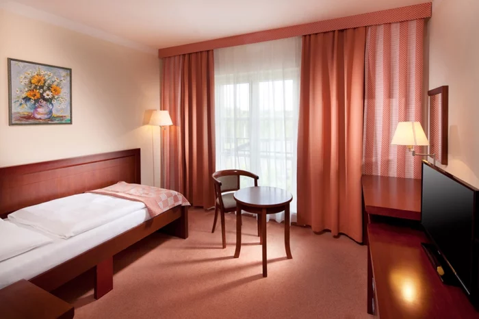 Jednolůžkový Standard | Hotel Francis Palace Františkovy Lázně